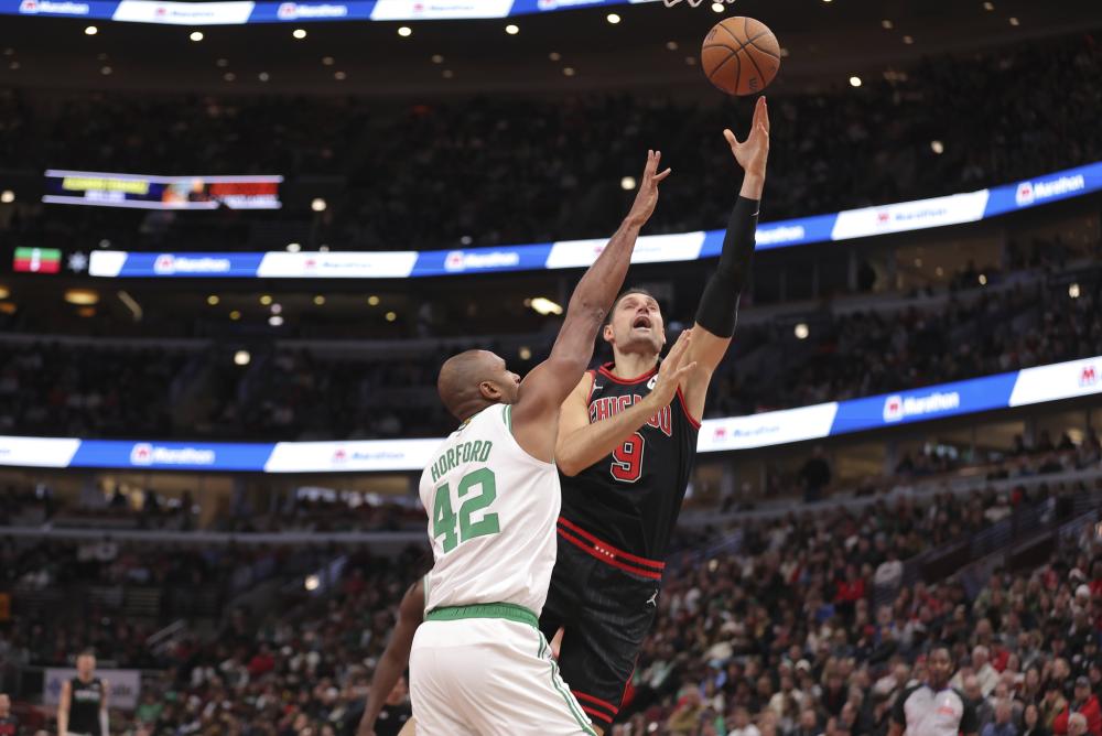 加维的成长 加维的成长